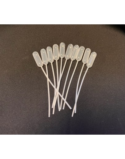 Pipet pasteurpipet plastiek a fijn 10 st