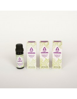 Engelwortel etherische olie-Sjankara 2,5 ml