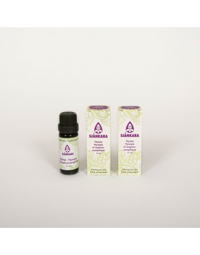 Hysop bio etherische olie-Sjankara 11 ml