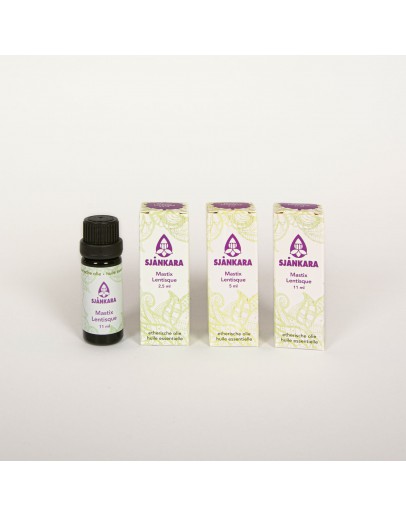Mastix bio etherische olie-Sjankara 2,5 ml