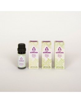 Melisse synergisch destillaat bio etherische olie-Sjankara 11 ml