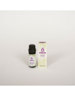 Synergie etherische olie Ravintsara-Sjankara 11 ml