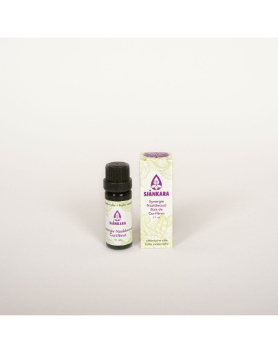 Synergie etherische olie Naaldwoud-Sjankara 11 ml