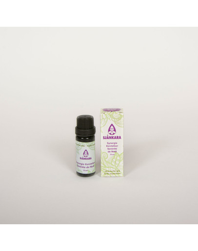 Synergie etherische olie Kerstsfeer-Sjankara 11 ml