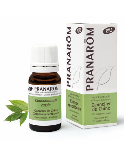 Kaneelboom Chinese bio etherische olie-Pranarôm 10 ml