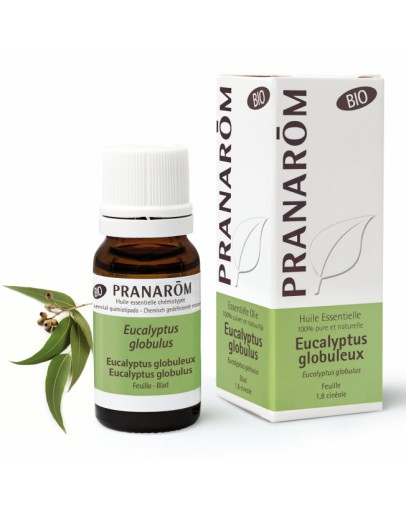 Eucalyptus globulus bio etherische olie-Pranarôm 10 ml