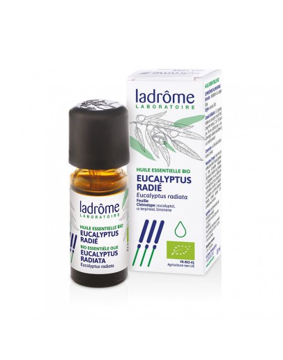 Eucalyptus radiata bio etherische olie-Ladrôme 10 ml