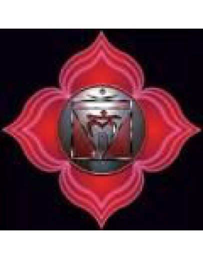 Chakra olie 1e chacra mix van etherische olies op jojobaolie-Sjankara 11 ml