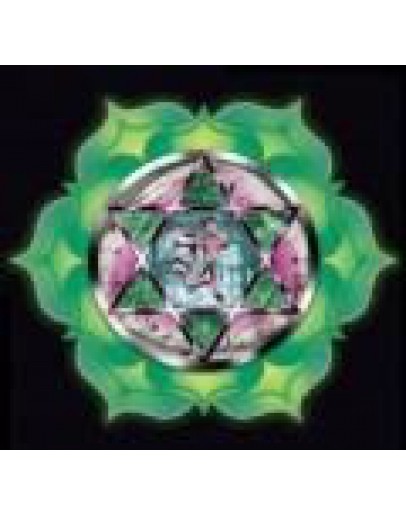 Chakra olie 4e chacra mix van etherische olies op jojobaolie-Sjankara 11 ml