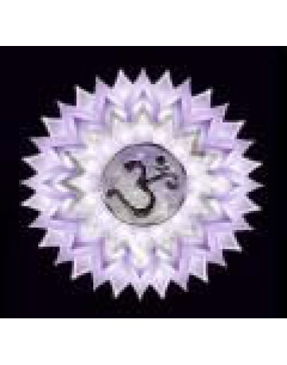 Chakra olie 6e chacra mix van etherische olies op jojobaolie-Sjankara 11 ml