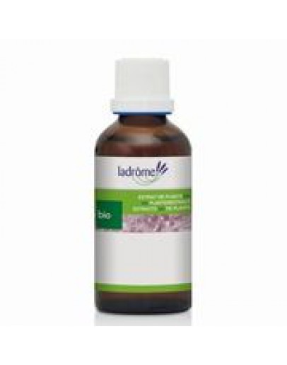 Gember bio tinctuur-Ladrôme 50 ml