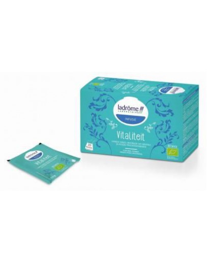 Infusie thee kurkuma mix Vitaliteit (kurkuma, gember en kaneel) bio-Ladrôme